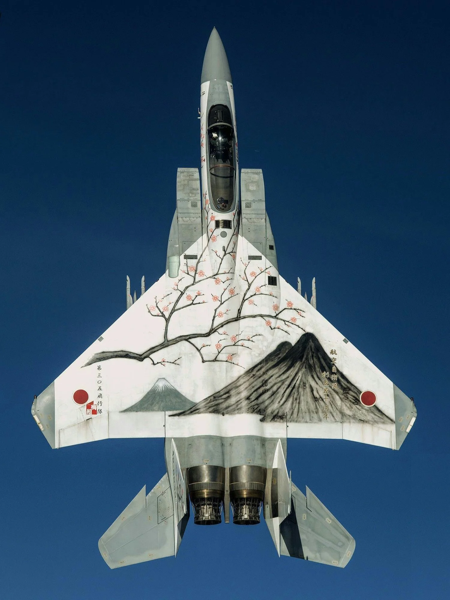 The Art of Japan's Painted F-15 Fighter Jets │Yokogao Magazine